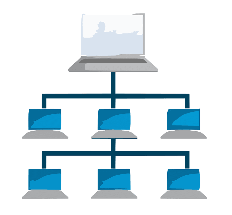 Network Services